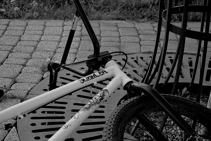 421 SUBROSA