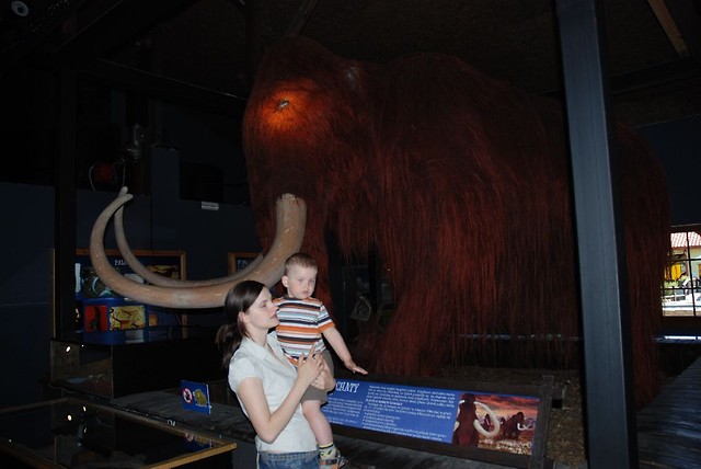 w muzeum