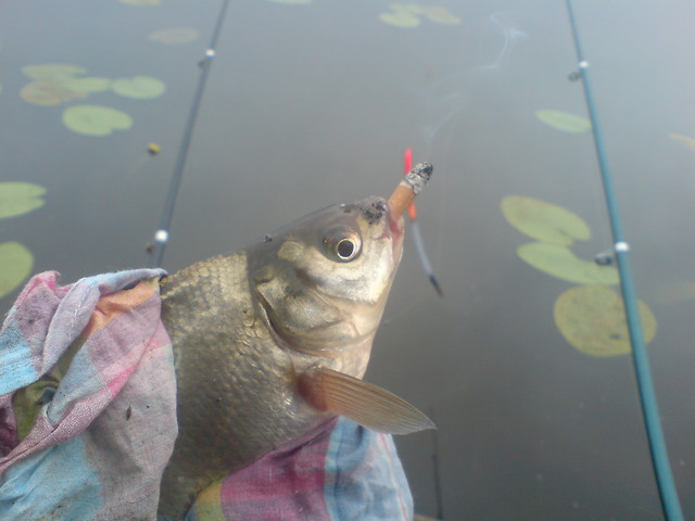 I like smoke! :D
