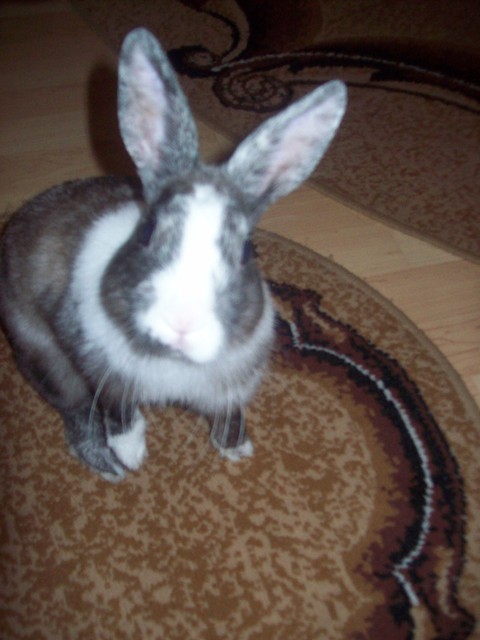  Kuba