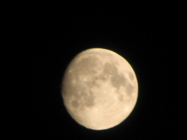 Nocne soce
