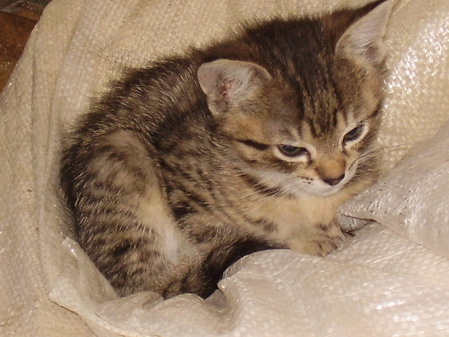 Kizia :)