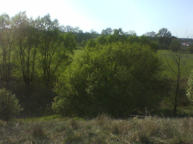 wiosna^^