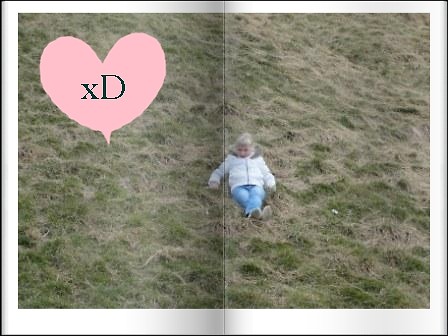 JaxDD