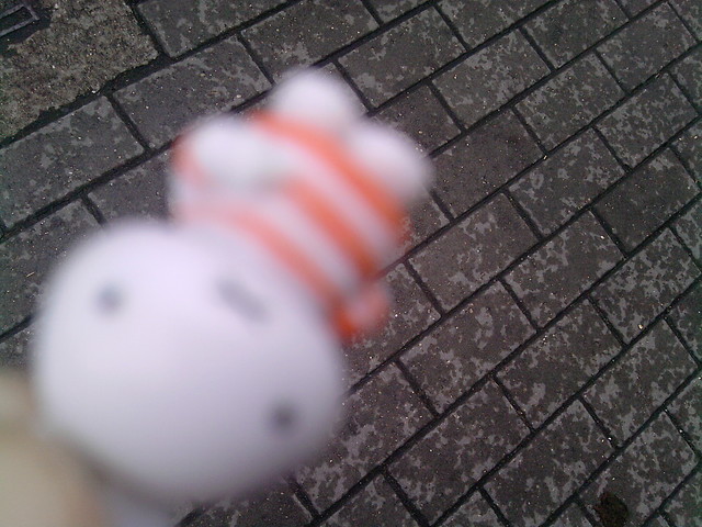 Orange & White