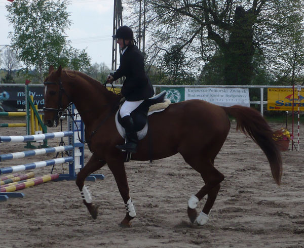 Alusieek ; **