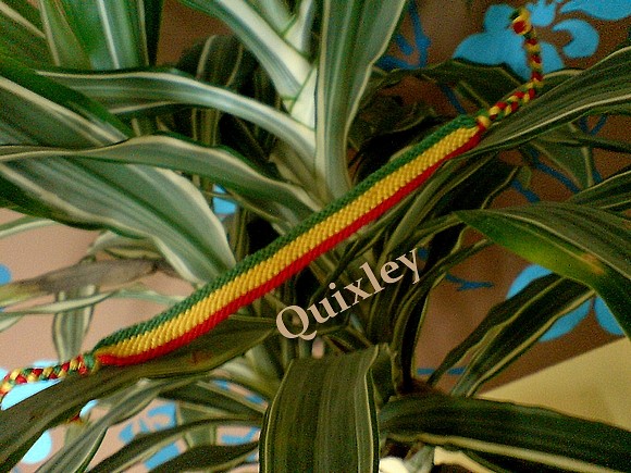 Rasta ;p