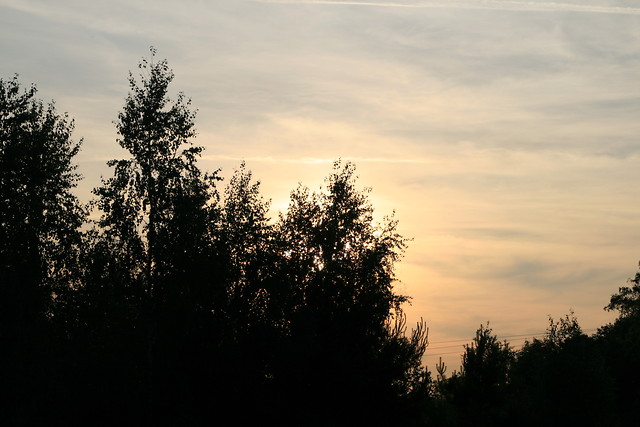 111.