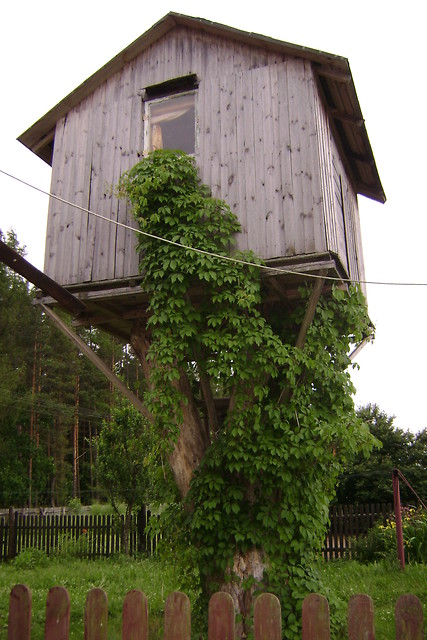 Domek na drzewie.