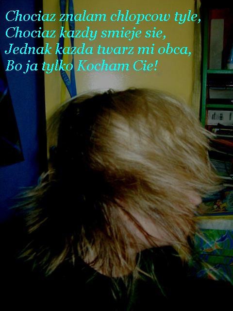 WtoooReek