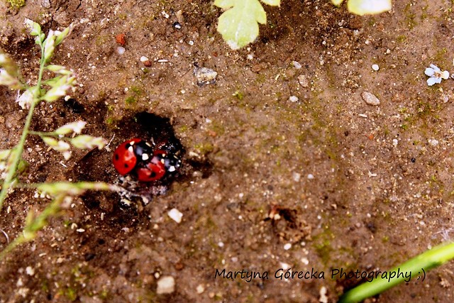 Natura..;D