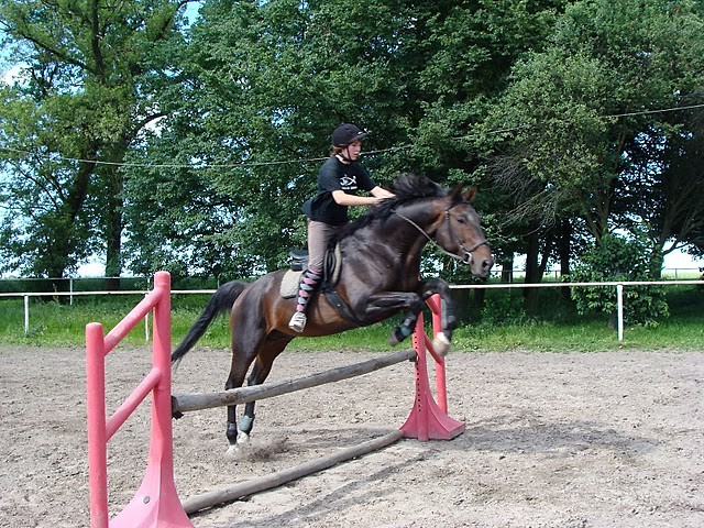 fot.Sylwia Przybylska
