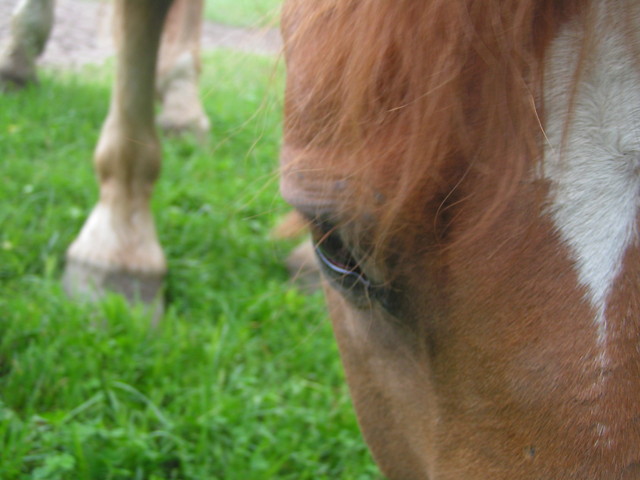 Wojtii ;*