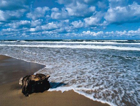 morze...