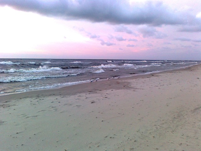 pan mrz.