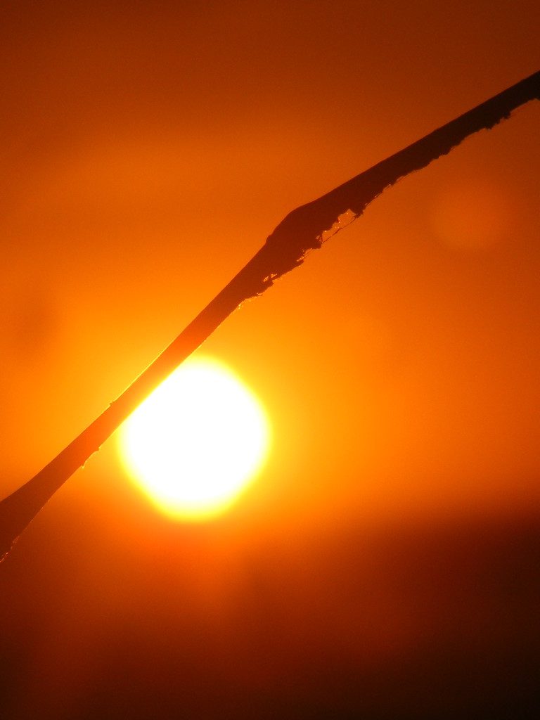 Co Piknego : )