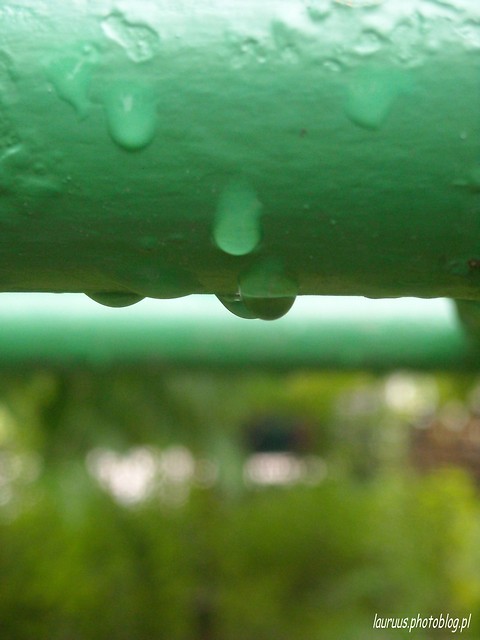 2.
