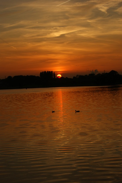 ...who wants to be alone...?