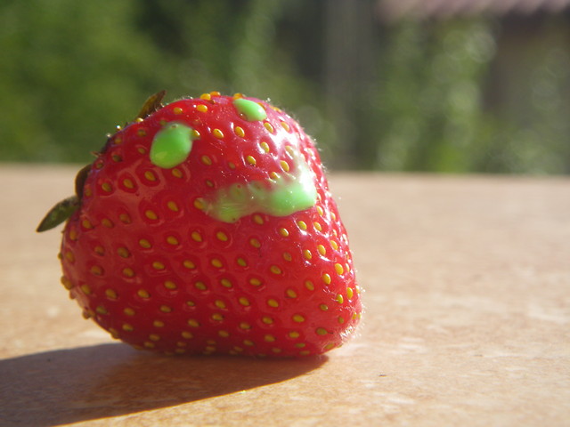 pan trusssskawa XD