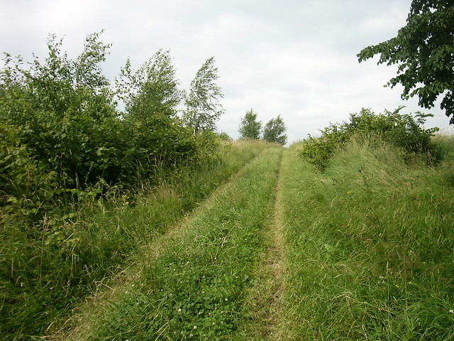 matyswkowe II.