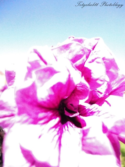 Summer...
