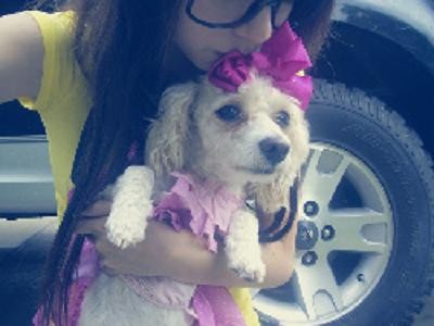 Pies :p