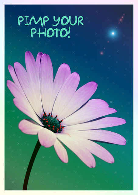 PIMP YOUR PHOTO!