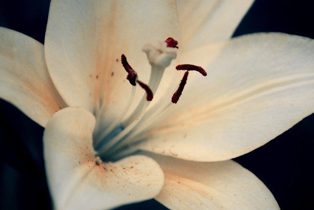 In Gratitude