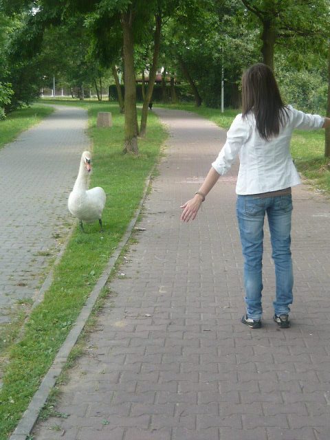 Chodz na gole klaty ;D xd