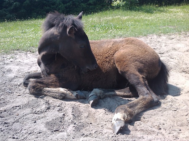 Kaach plaowicz  :) :*