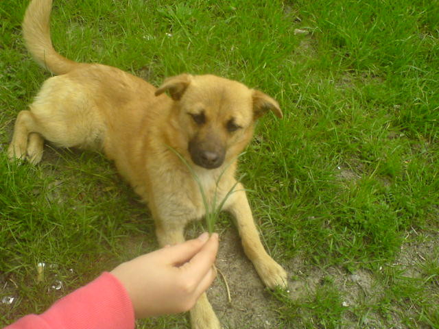 Rysiek;)