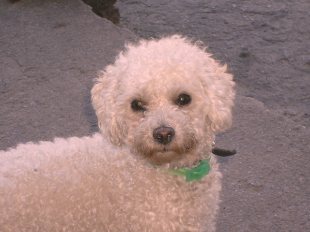 Tinka ;*