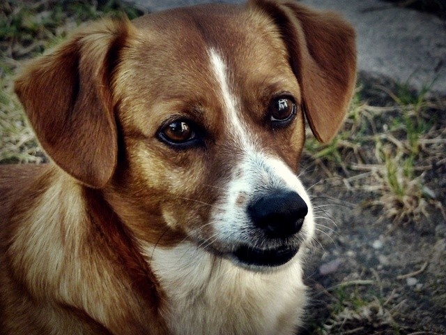 betowen ;P