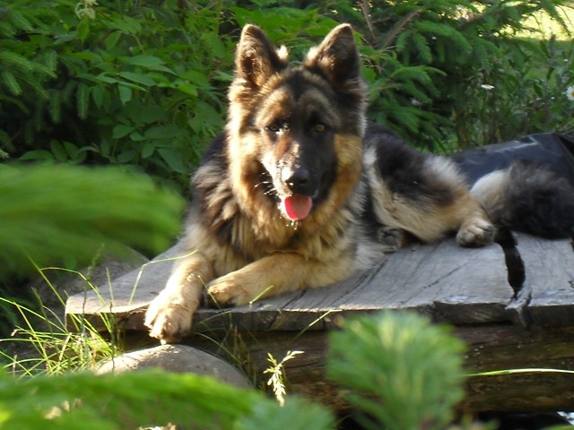maxiii
