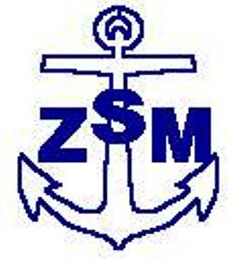 `zsm