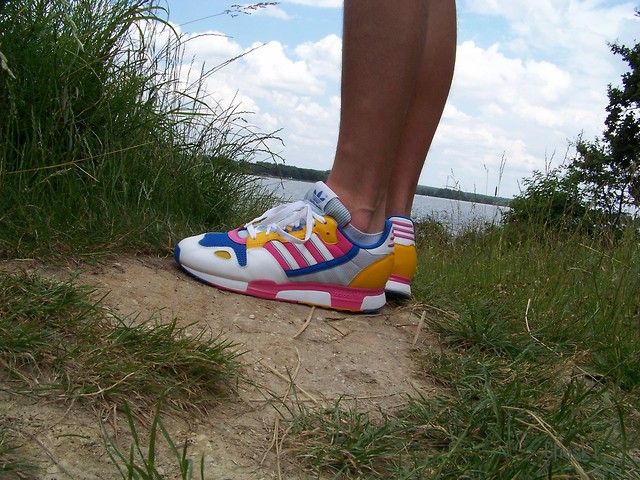 Zx800