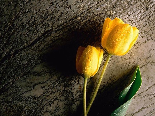 second photograph