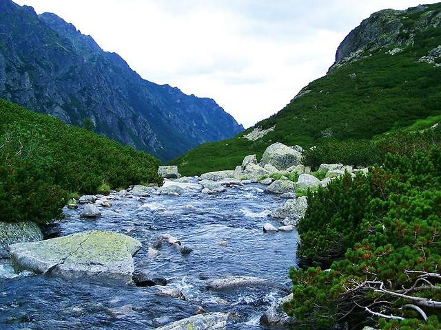 Pragnienie ciszy.