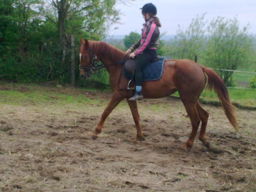 Na Reweli 