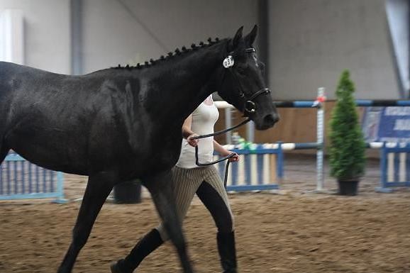 Kronos ;*