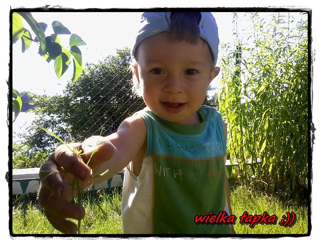 Wielka apka