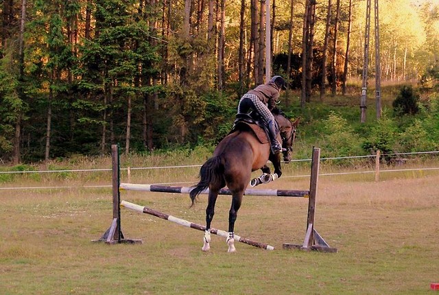 JA & GUTOSAW