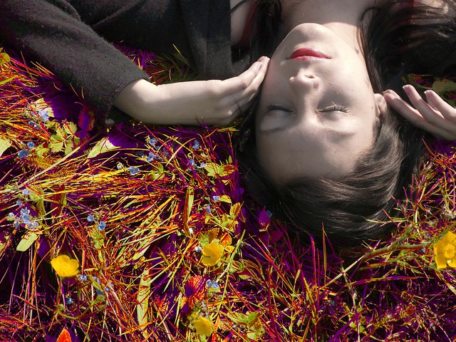 The meadow
