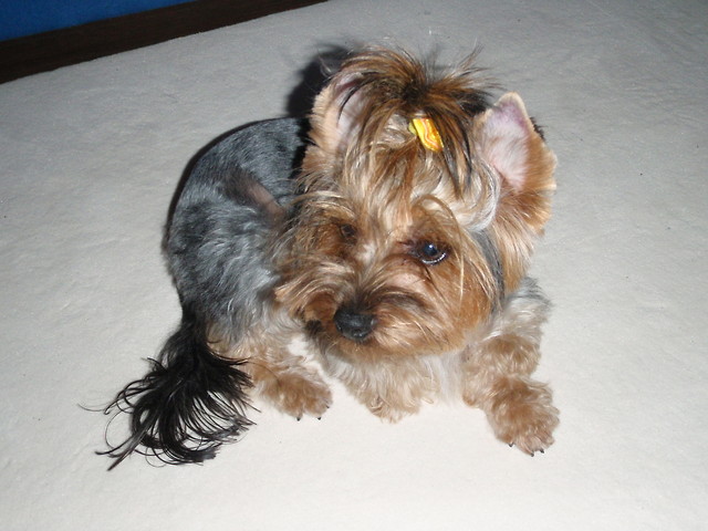 MINIA :)