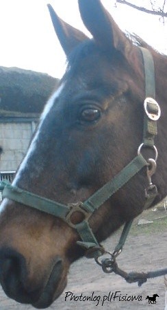 Fatma ;)