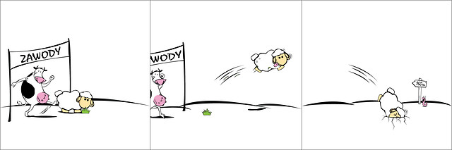 Zawody