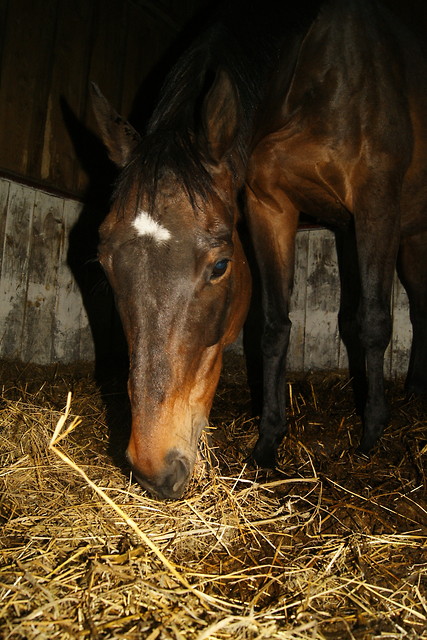 Nefele;***
