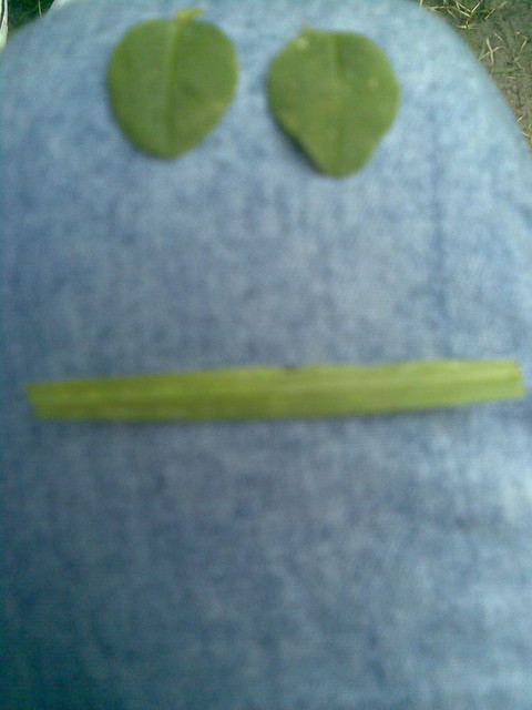 HaHa.! : ] 