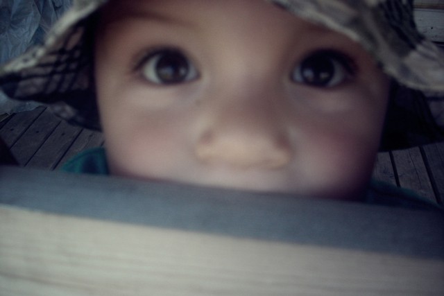 Lolek 