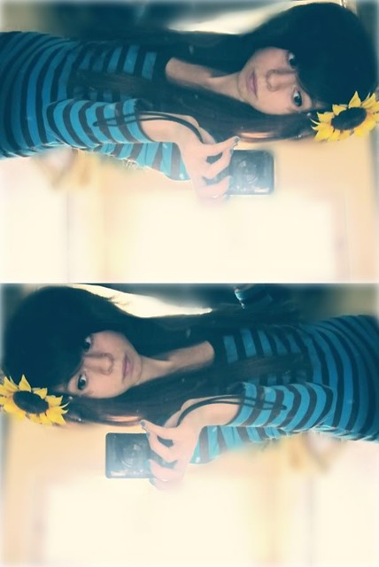 sunflower *----*